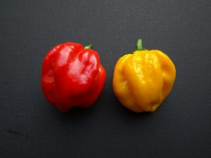 Habanero