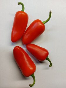 chili peper recepten